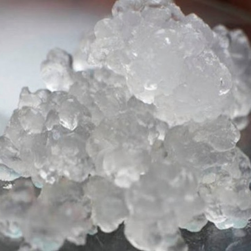 Nanocelulosa producida gracias a la pulpa de madera es el nuevo oro verde