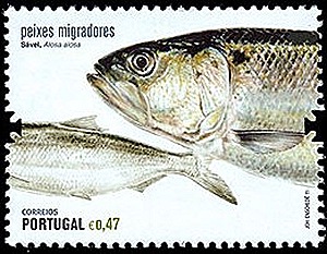 3291b 3291b