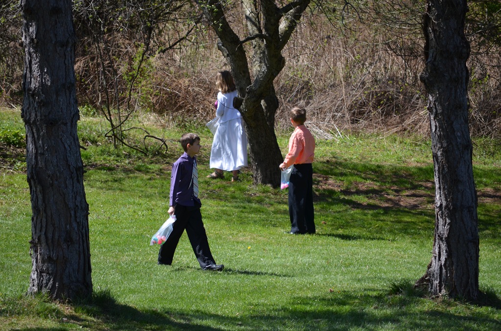 [DSC_0429%255B5%255D.jpg]