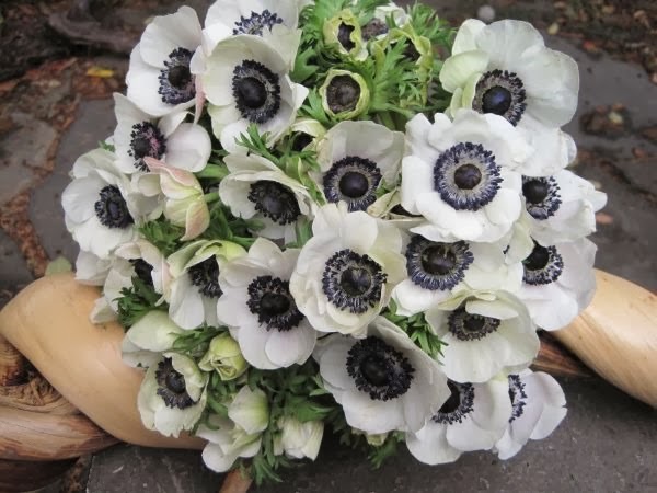 [anemone-bridal-bouquet-with-white-an%255B2%255D.jpg]