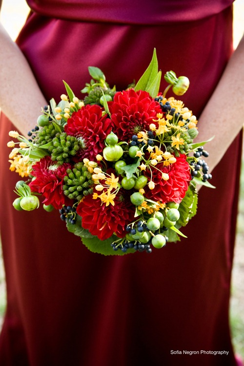[cairnwood-wedding-7-beautiful-blooms%255B1%255D.jpg]