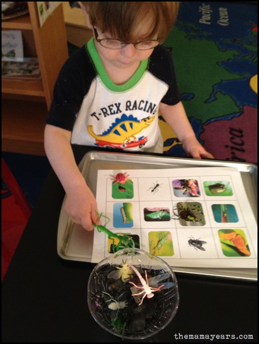 5.13.13 tot school bugs14