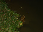 DSC05144.jpg DSC05144.jpg