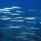 IMG_0876.JPG