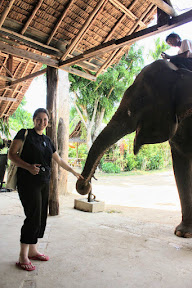 Elephant snack time