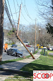 Car Into Pole In Front Of 164 East Eckerson Rd - DSC_0040.JPG