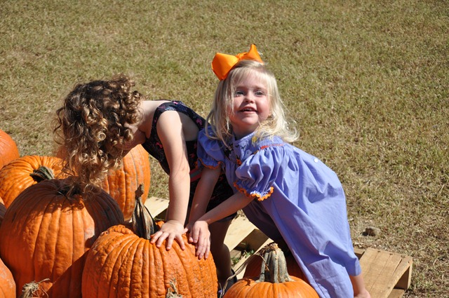 [southern%2520belle%2520farm%2520100611%2520%252877%2529%255B3%255D.jpg]