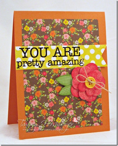 You Are Pretty Amazing by Tammy Hershberger