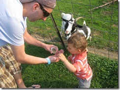 2012.08.17 Petting Zoo (4)