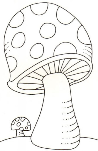 Clases De Hongos Para Dibujar Imagui