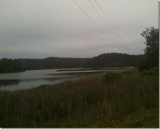 november 2011 053