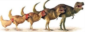 [chickenosaurs5.jpg]