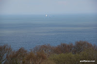 IMG_5991.JPG Photo