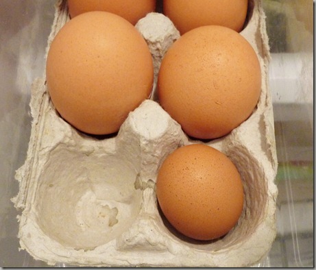 egg 012