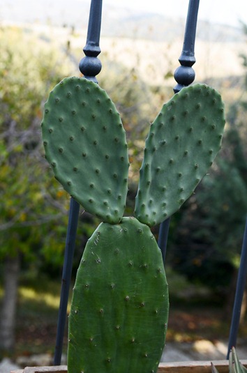 [villa4%255B6%255D.jpg]