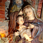 1421-08.JPG