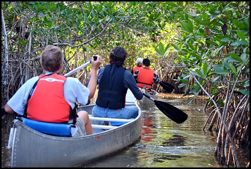 06 - First paddle through the Mangrovews