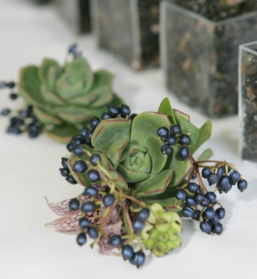 [eventc1-gilly-flowers4.jpg]