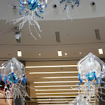 IMG_88012.jpg