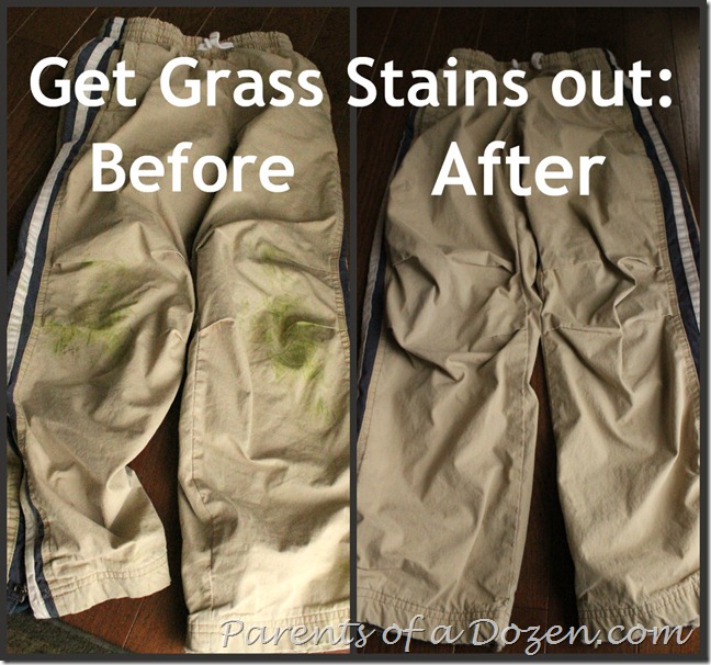 Get Grass Stains out