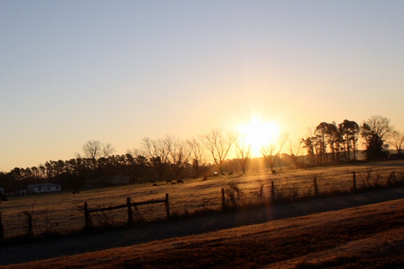 [February-2012-part-1-0834.jpg]