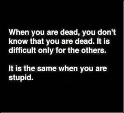 Dead and Stupid Dead and Stupid