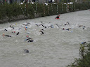 IMG_4157.jpg