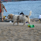 IMG_6839.JPG