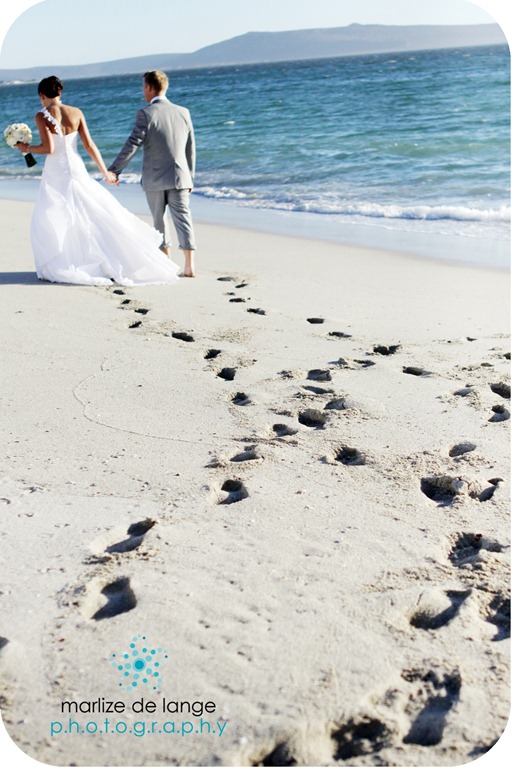 [IMG_4159%2520a%255B5%255D.jpg]