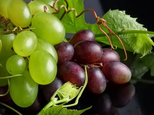 [clip_image010%255B7%255D.jpg]