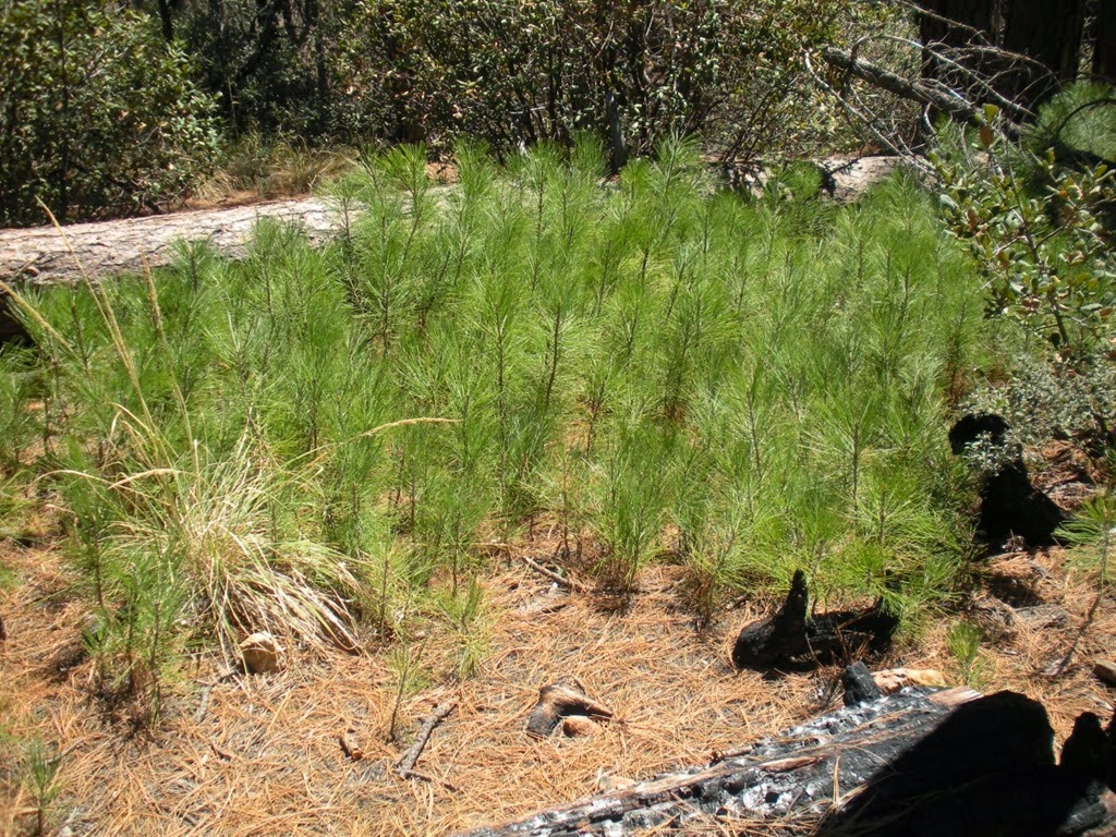 [DSCN2285%255B4%255D.jpg]