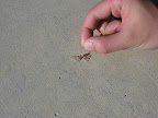 DSCN7497.JPG