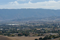 DSC_7603.jpg