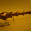 The lower levels were represented by bats, caimans, snakes and other creatures which inhabitated openings in the earth.