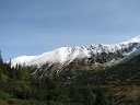 IMG_1647.jpg