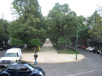 The main streets in Condesa have a wide park down the middle of them