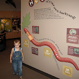 IMG_1815.JPG