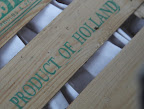 Martha is always saying that Holland is famous for their fabulous flowering bulbs!  Do you suppose these are special bulbs for the garden?  After all, we are in the gardener's head house.