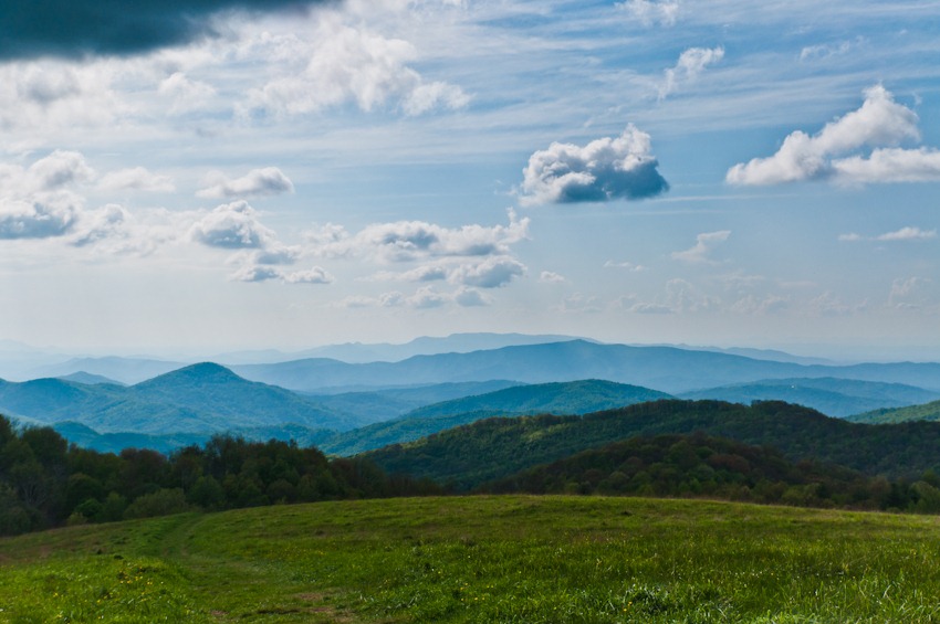 [max-patch-12743.jpg]