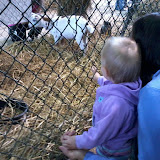 IMG_20111022_133002.jpg