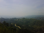 IMG00673-20100130-1208.jpg