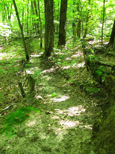 Twin lakes singletrack