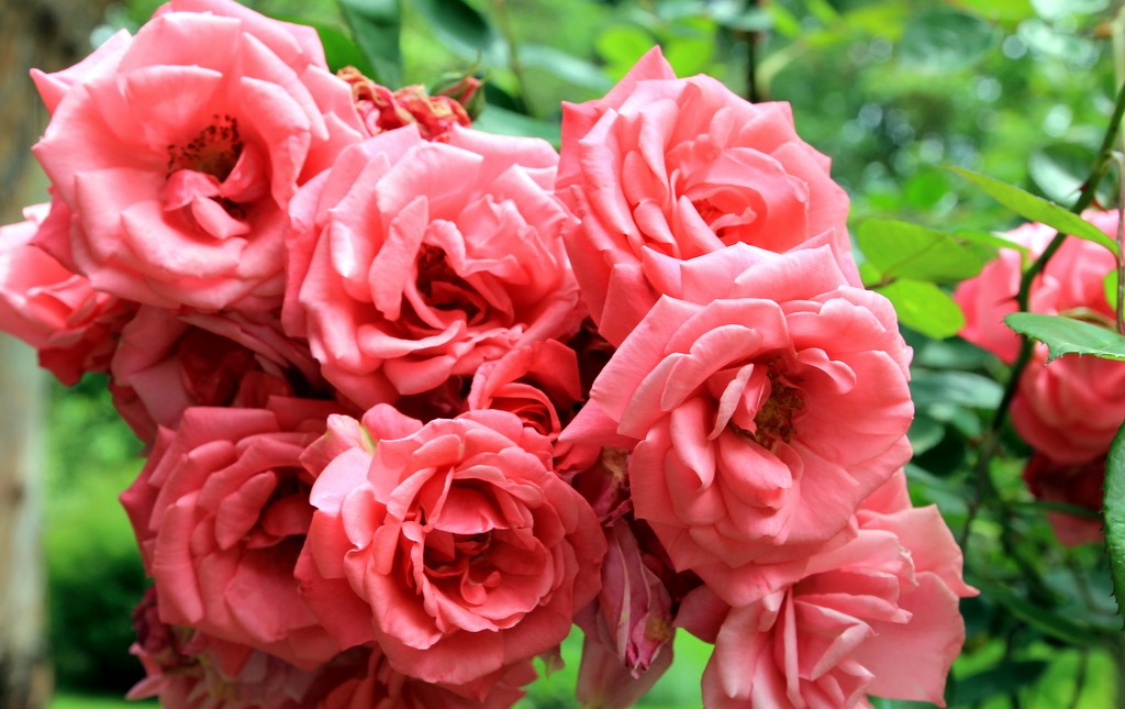 [IMG_3461%255B3%255D.jpg]