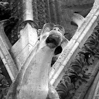 20100404_146.JPG