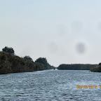 IMG_7967.JPG