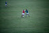 Thumbnail - 2011 SFC QF : Roslea v Newtownbutler