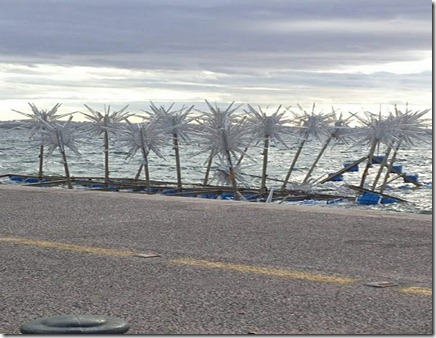 394667_2739965655005_1133325067_2990481_1037181931_n[1]