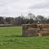 DSC_0013.jpg