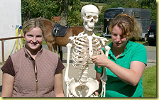 Sitzschulung-Visual.jpg Sitzschulung-Visual.jpg