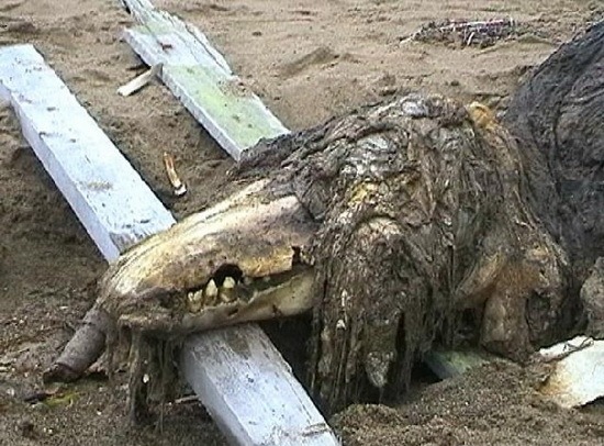 Mysterious_Creatures_05